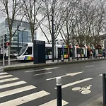 Du Mans Angers